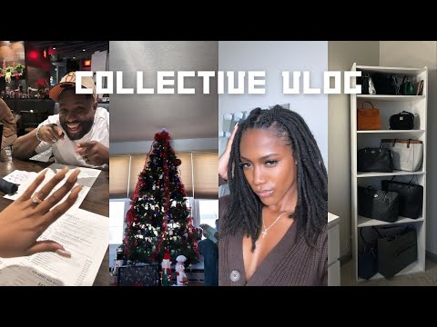 COLLECTIVE VLOG: proposal, 3 strand braids on locs, christmas recap, purse organizer, etc