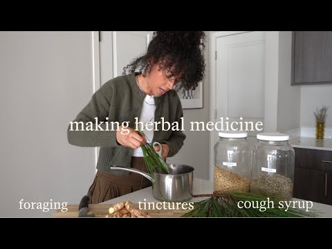 I foraged pine needles and made herbal medicine