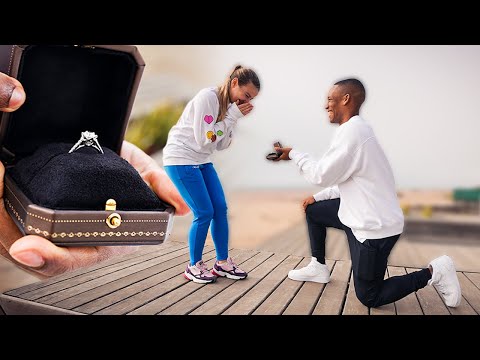 THE PERFECT PROPOSAL