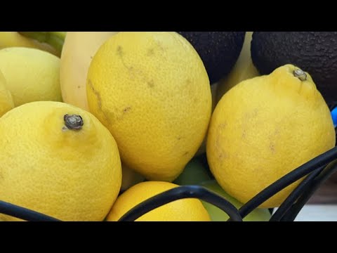 Drink beetroot juice with lime and ginger and cucumber! Good for your blood pressure!