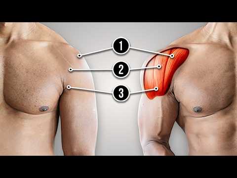 The Smartest Way To Get Wide Shoulders FAST | 3 Exercises To Awaken