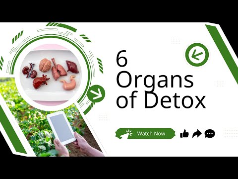 How Does Your Body Really Get Rid of Toxins?