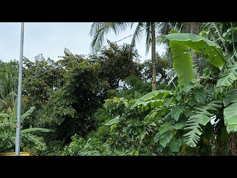 Good morning from the Philippines 🇵🇭