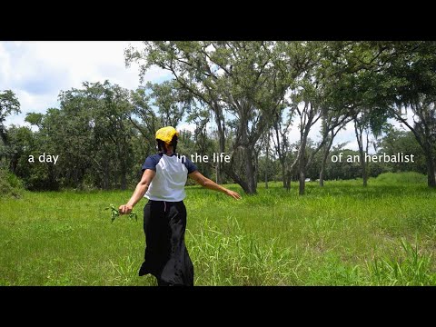 A Day in the Life of an Herbalist: foraging, tinctures & presence