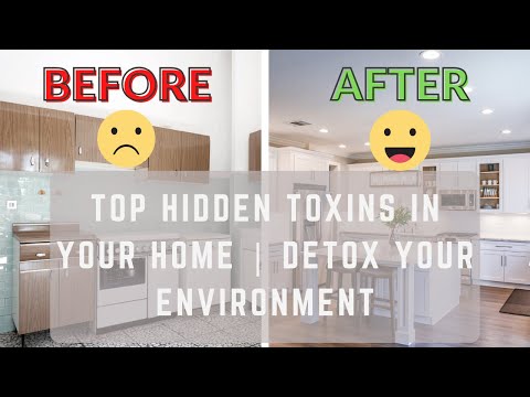 Top Household Toxins Harming Your Health | Environmental Detox Tips