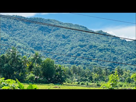 Cannot believe this. This is so beautiful. In the Philippines 🇵🇭