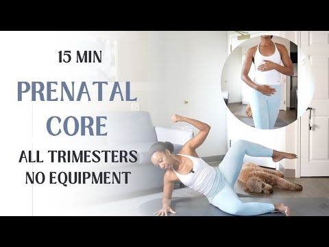 15 Min Pilates-Inspired Prenatal Core Workout for All Trimesters | Diastasis Recti Prevention ✨