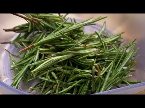 A Remedy To Remove Sugar From Your Veins!