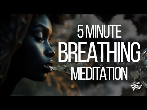 5 Minute Breathing Meditation | Reset Your Mind, Fast