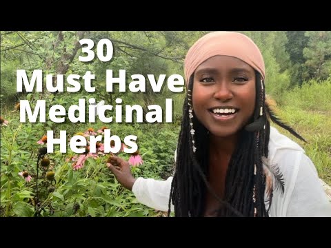 30 Must Have Herbs For Your Apothecary! Part 1