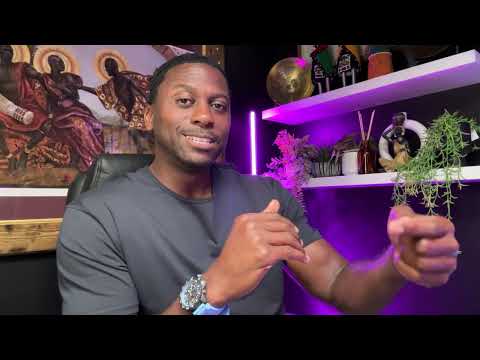 8 MAJOR CAUSES Of The Testosterone Crisis