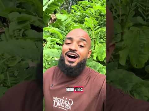 Best Herbs for Fibroid Healing (St. John’s Bush & Cassia Latte)