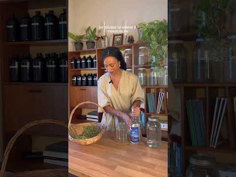 Is diabetes really reversible? #herbalism #diabetes #herbalmedicine