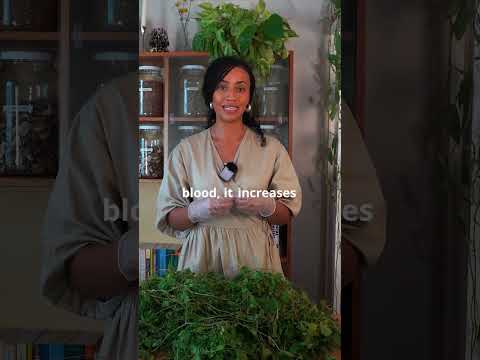 High blood sugar? This herb is for you! #herbalism #diabetes #bittermelon