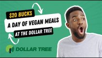 Mission Impossible? A Day of Eating for $20 or Less at the Dollar Tree!