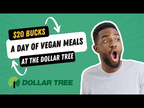 Mission Impossible? A Day of Eating for $20 or Less at the Dollar Tree!