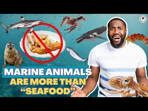 The True Cost of Eating Marine Animals