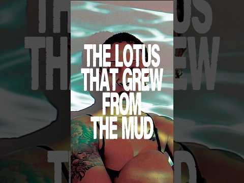 out now on ALL streaming platforms🩷 exclusive immersive bundle on Bandcamp #bandcamp #ambientmusic