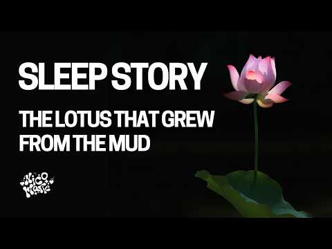 The Lotus That Grew From The Mud: Calming Sleep Story