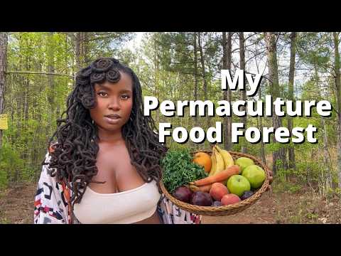 My 87 Acre Permaculture Food Forest..Design My Food Forest With Me!